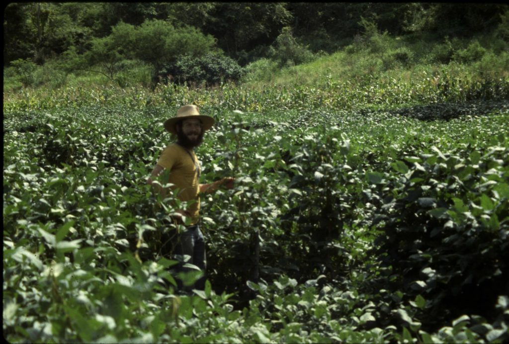Alan Praskin, 1979, Guatemala, Food Security