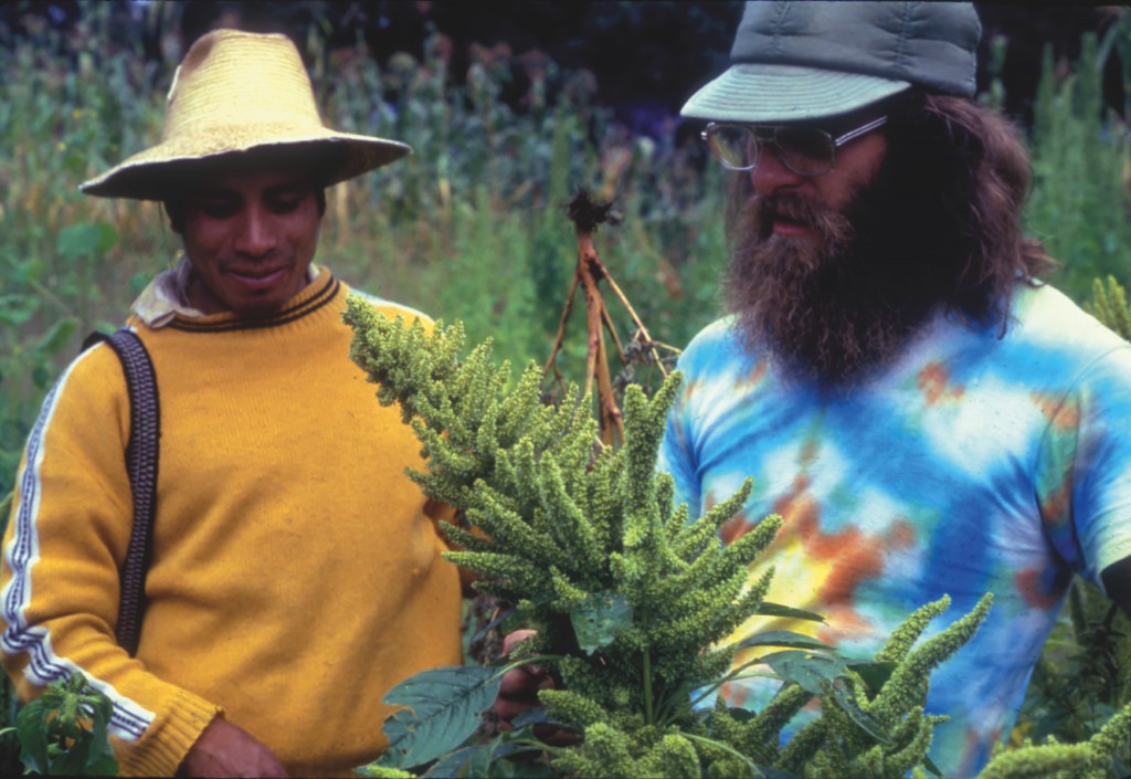 Darryl Jordan, David Frohman, 1979, Guatemala, Amaranth Cultivation