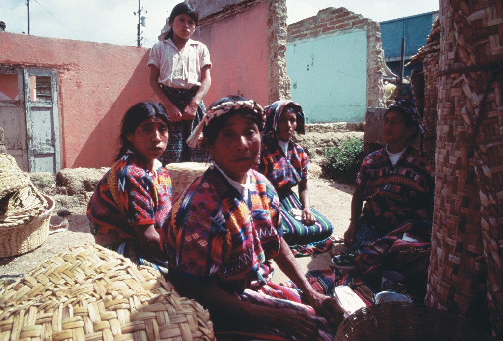 Peter Schweitzer, 1976, Disaster Relief