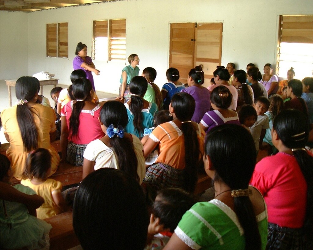 Deborah Flowers, Douglas Stevenson, 2000, Belize, Midwifery, Rural Education