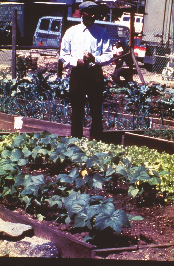 Bill Barto, Louis the onion farmer, 1979, Bronx, Community Gardens