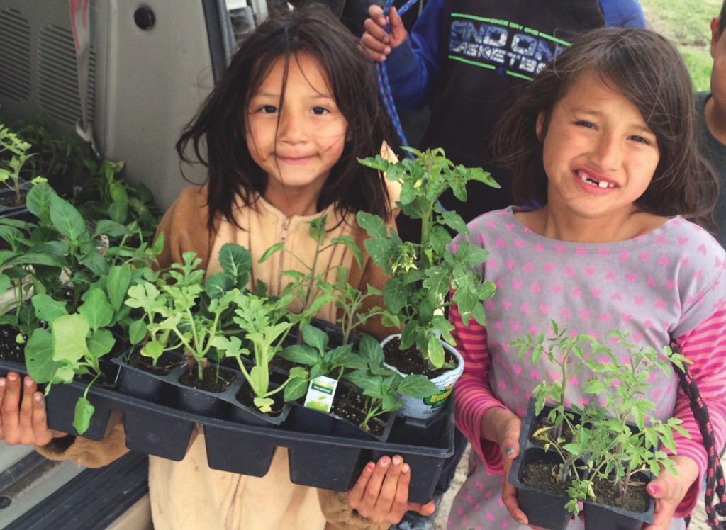 Robert Reifel, 2012, Pine Ridge, Community Gardens, Food Security