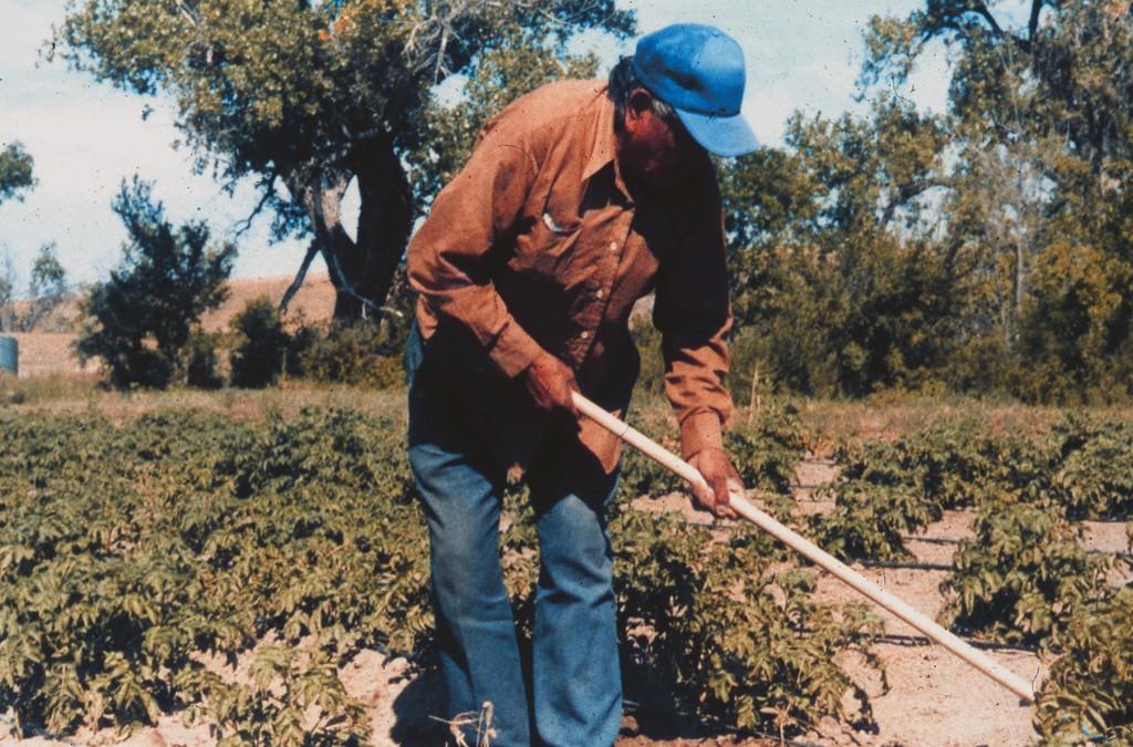 Anita Whipple, Good Buffalo, 2014, Pine Ridge, Community Gardens, Food Security, Native Rights