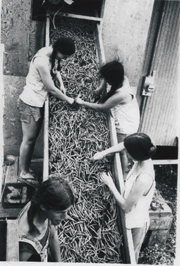 Edith Lucas, Mary Beth Wishbow, Michael McGovern, Ruth McGovern, 1977, Florida