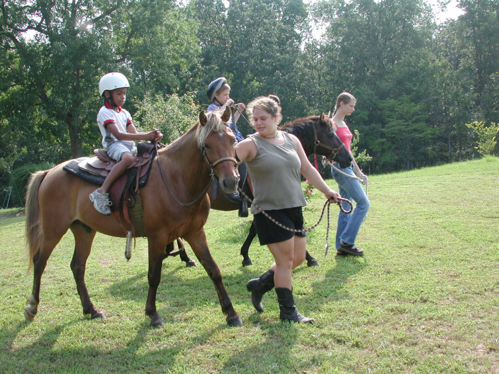 Anita Whipple, Sadie Rose, 2015, The Farm, Kids to the Country