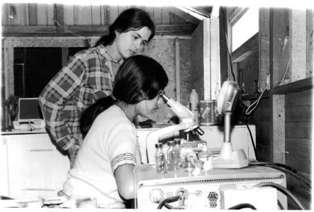 Pam Horrigan, 1977, Guatemala, San Andrés Itzapa, Medical Relief, Rural Education, Rural Health