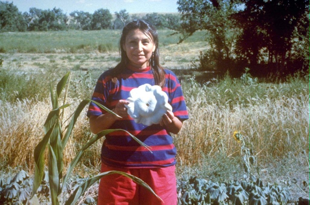 Loretta Afraid of Bear Cook, 2003, Pine Ridge, Community Gardens