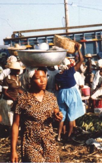 Michael Cook, 1979, Haiti, Community Gardens, Medical Relief, Sanitation